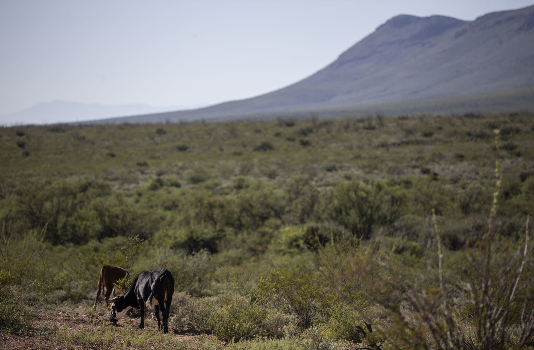 U.S. – Mexico border near Douglas, Ariz.